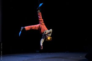 Flying frenchies Anicet