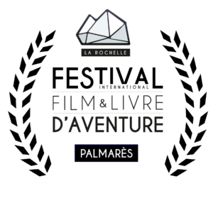 logo Palmares