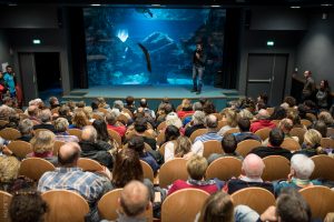 retrospective Laurent Ballesta